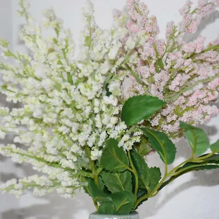 Green Apart 公寓 *