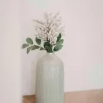 Green Apart *