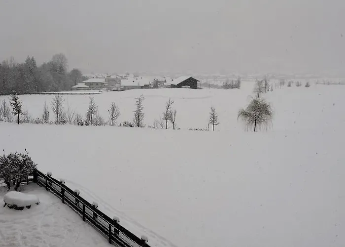 Lejlighed Green Apart